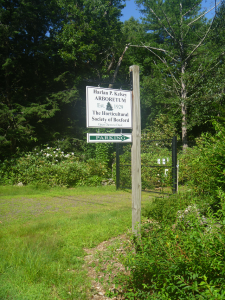 Entrance sign Grand Maxima